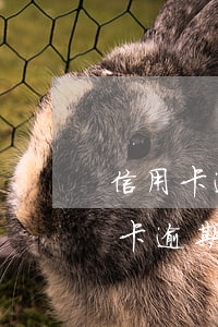 信用卡逾期辦不了網(wǎng)捷貸(信用卡逾期辦不了網(wǎng)捷貸)