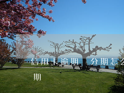 信用卡逾期辦分期怎么辦(信用卡逾期如何分期)