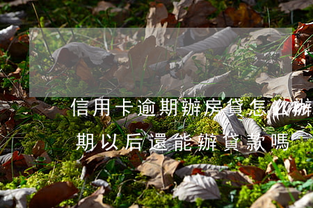 信用卡逾期辦房貸怎么辦(信用卡逾期,房貸逾期,以后還能辦貸款嗎)
