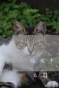 信用卡逾期辦房貸怎么過(辦信用卡逾期了怎么辦)