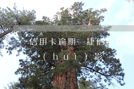 信用卡逾期辦捷信(捷信逾期3個(gè)月會(huì)影響我現(xiàn)有的信用卡嗎?)