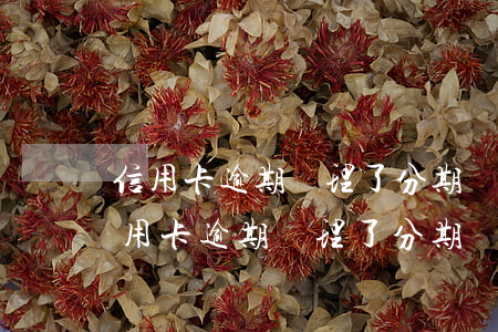 信用卡逾期辦理了分期還會顯示逾期嗎-信用卡逾期辦理了分期還會顯示逾期嗎