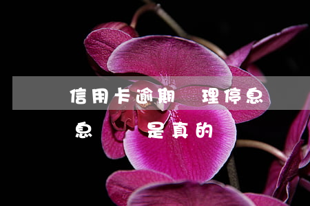 信用卡逾期辦理停息掛賬(信用卡逾期辦理停息掛賬是真的嗎)