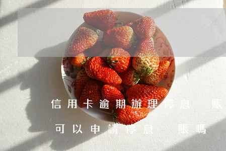 信用卡逾期辦理停息掛賬怎么辦理(欠信用卡可以申請停息掛賬嗎)