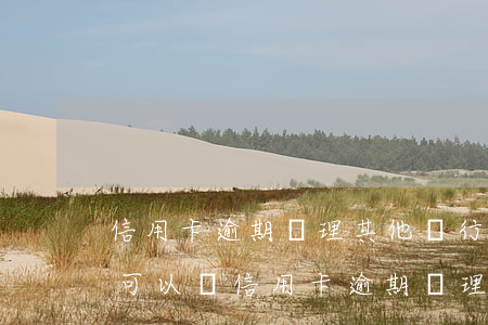 信用卡逾期辦理其他銀行儲(chǔ)蓄卡可以嗎（信用卡逾期辦理其他銀行儲(chǔ)蓄卡）