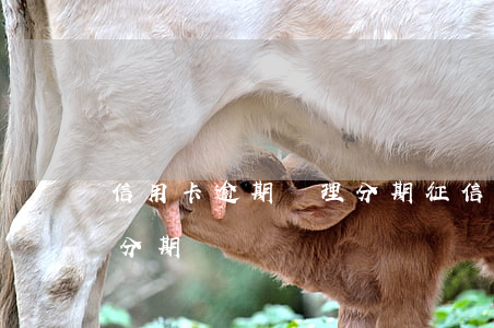 信用卡逾期辦理分期征信顯示什么-信用卡分期