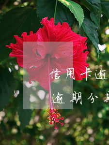 信用卡逾期辦理分期怎么辦牡丹江-信用卡 逾期 分期