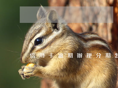 信用卡逾期辦理分期怎么辦牡丹江