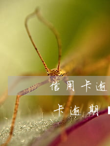 信用卡逾期辦理延期還款還能使用嗎-信用卡逾期辦理延期還款還能使用嗎