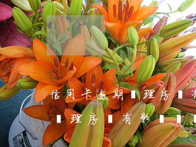 信用卡逾期辦理房貸有影響嗎-信用卡逾期辦理房貸有影響嗎貼吧