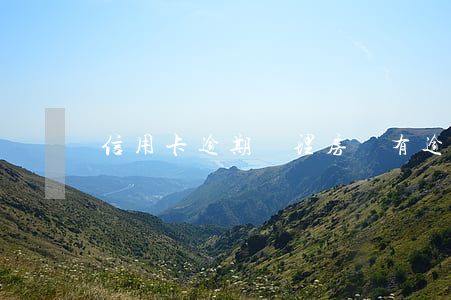 信用卡逾期辦理房貸(有逾期辦理房貸)