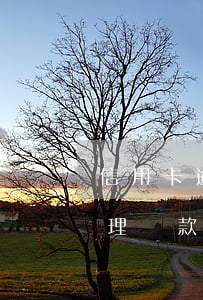 信用卡逾期辦理貸款有辦法嗎(信用卡逾期辦理貸款有辦法嗎上征信嗎)