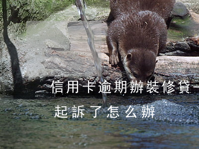 信用卡逾期辦裝修貸-裝修貸信用卡逾期被起訴了怎么辦?