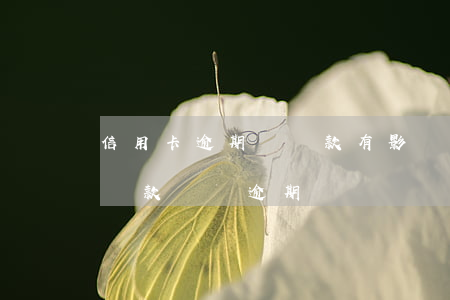 信用卡逾期辦貸款有影響嗎(有信用卡影響辦貸款嗎,沒逾期過)