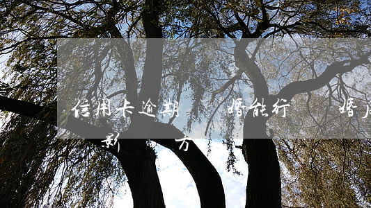 信用卡逾期辦離婚能行嗎(離婚后信用卡逾期會影響對方嗎)