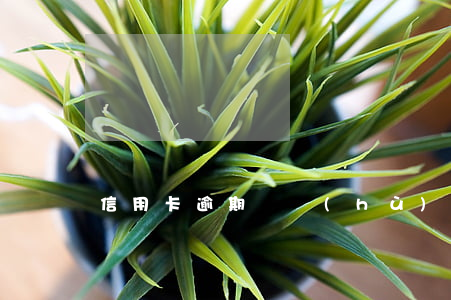 信用卡逾期辯護(hù)案例(信用卡 逾期 詐騙)