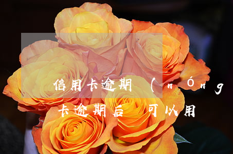 信用卡逾期農(nóng)合還能用嗎(信用卡逾期后還可以用嗎)