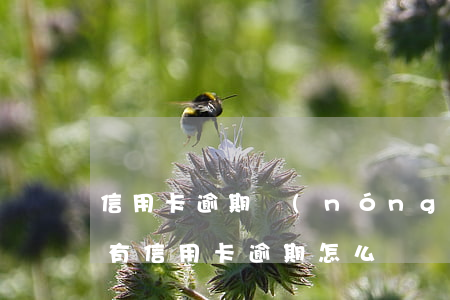 信用卡逾期農(nóng)行房貸利率(房貸有信用卡逾期怎么辦)