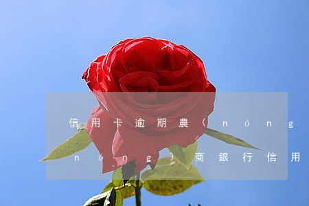 信用卡逾期農(nóng)行自動扣款(農(nóng)商銀行信用卡自動扣款)