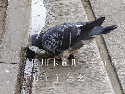 信用卡逾期農(nóng)行起訴了會(huì)怎么樣