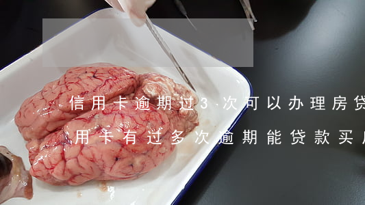 信用卡逾期过3次可以办理房贷吗(三年前信用卡有过多次逾期能贷款买房吗)