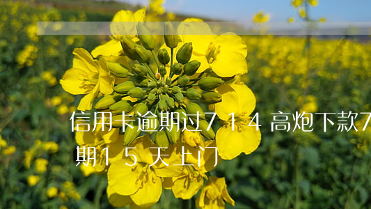 信用卡逾期过714高炮下款(714高炮逾期15天上门)