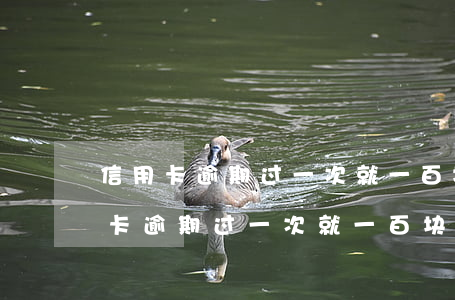 信用卡逾期过一次就一百块钱是真的吗（信用卡逾期过一次就一百块钱）