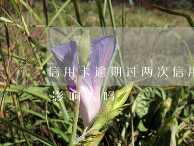信用卡逾期过两次(信用卡逾期过两次 对征信影响大吗)