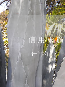 信用卡逾期过了六年了(有没有信用卡逾期五年的)