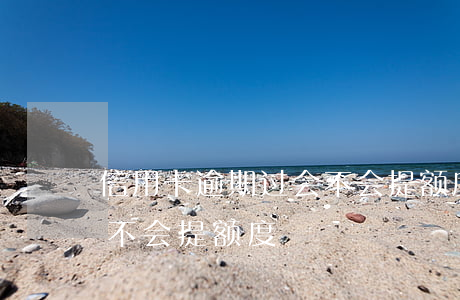 信用卡逾期过会不会提额度(信用卡逾期过会不会提额度)