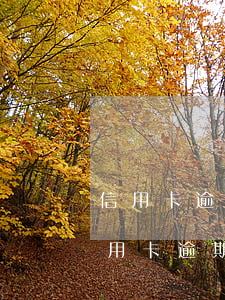 信用卡逾期过可以进行车贷吗(车贷逾期和信用卡逾期)
