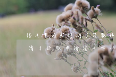 信用卡逾期过期了还能补办吗-逾期半年还清了还能申请信用卡吗