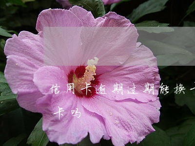信用卡逾期过期能换卡嘛(逾期后还能办信用卡吗)