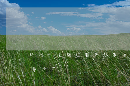 信用卡逾期过能养起来吗(信用卡逾期了还能养卡不)