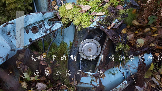 信用卡逾期过能申请助学贷吗(助学贷款逾期还能办信用卡吗)