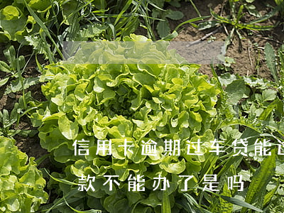 信用卡逾期过车贷能过么(信用卡逾期汽车贷款不能办了是吗?)