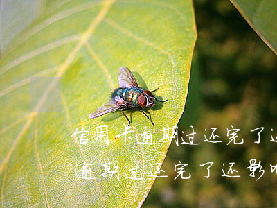 信用卡逾期过还完了还影响征信吗-信用卡逾期过还完了还影响征信吗怎么办