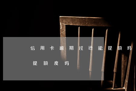 信用卡逾期过还能提额吗(信用卡逾期了还能提额度吗)