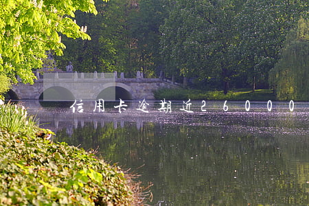 信用卡逾期近26000(信用卡逾期近20萬)