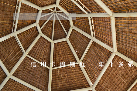 信用卡逾期近一年(十多張信用卡逾期)