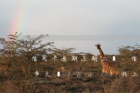 信用卡逾期近期上門-信用卡5000逾期多久會(huì)找上門