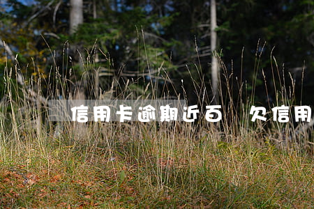 信用卡逾期近百萬(欠信用卡40萬逾期一年)