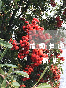 信用卡逾期返回戶籍地-遷戶口信用卡逾期會有影響