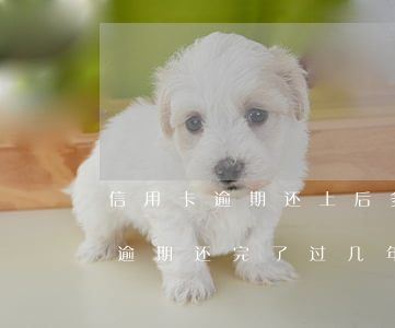 信用卡逾期还上后多久能贷款(前几年信用卡逾期还完了过几年贷款能贷吗)