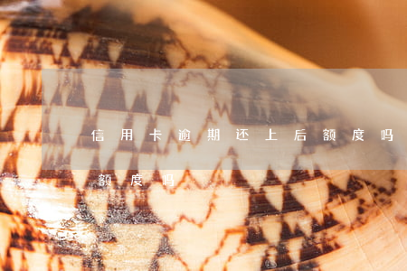 信用卡逾期还上后额度吗(信用卡逾期还上后额度吗)