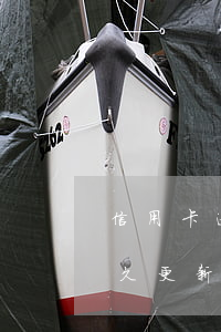 信用卡逾期还上多久征信更新(逾期还款后多久更新征信)