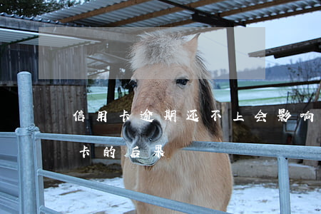 信用卡逾期还不上会影响家人吗(逾期还信用卡的后果)