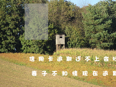 信用卡逾期还不上会找妻子吗(丈夫办信用卡妻子不知情,现在逾期不还)