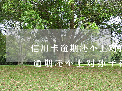 信用卡逾期还不上对孙子有影响吗-信用卡逾期还不上对孙子有影响吗知乎