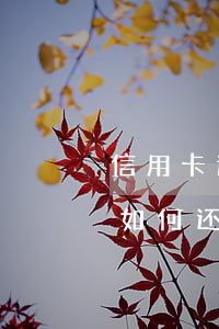 信用卡逾期还不上应该怎么说(逾期了信用卡如何还)